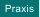 Praxis